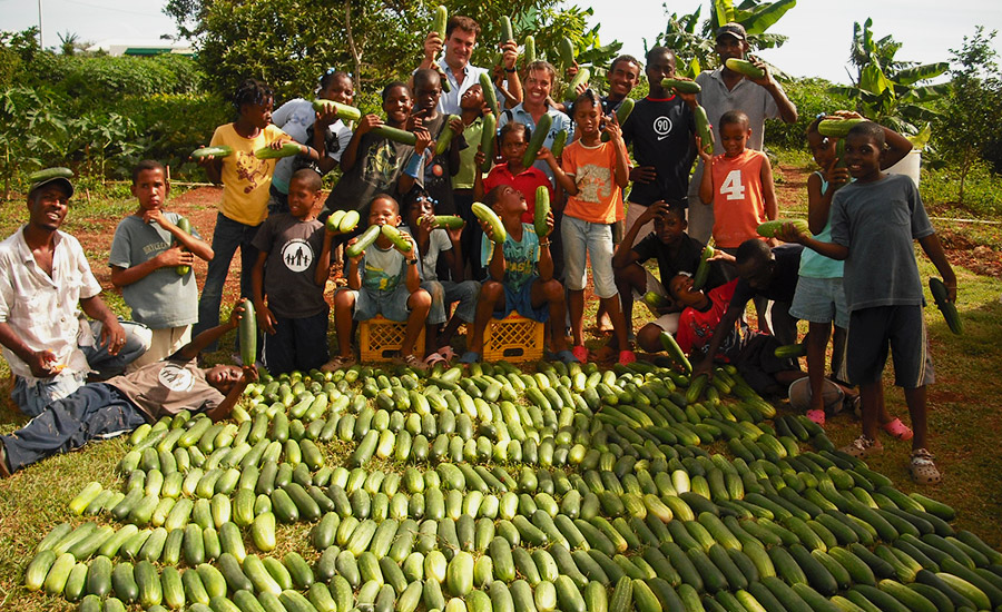 Proyecto Republica Dominicana