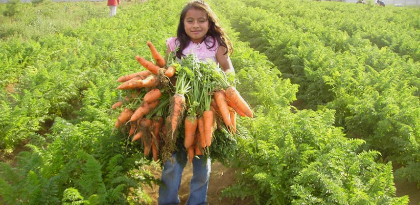 2008 / GUATEMALA