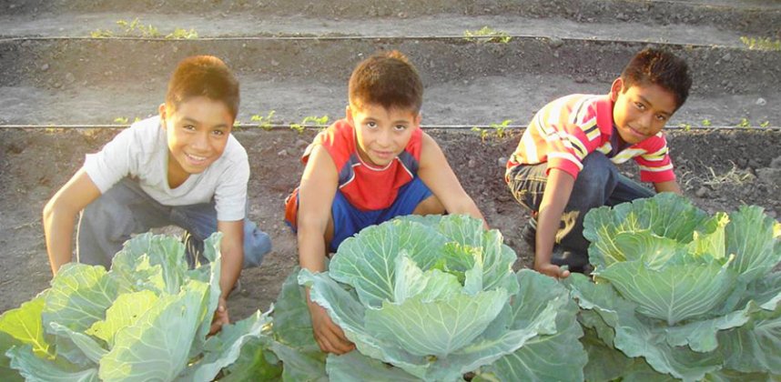 2006 / HONDURAS