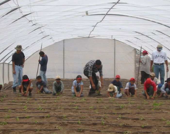 ITER_HONDURAS_compartir_08