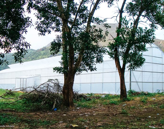 ITER_ONG_Sierra-Leona_08